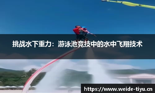 韦德体育平台