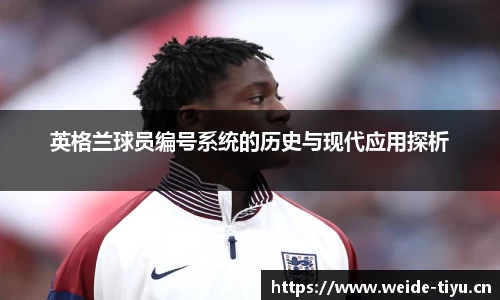 韦德体育官网