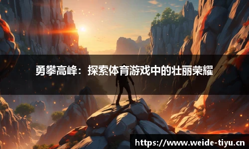 韦德体育