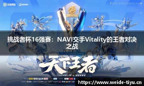 挑战者杯16强赛：NAVI交手Vitality的王者对决之战